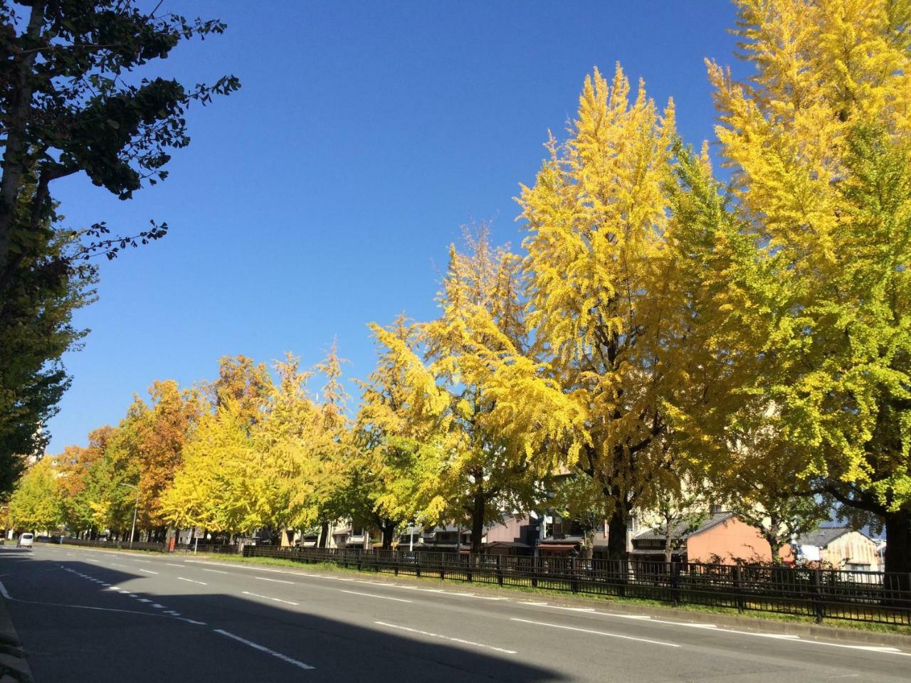 Ichijyo Ivy Daire Kyoto Dış mekan fotoğraf